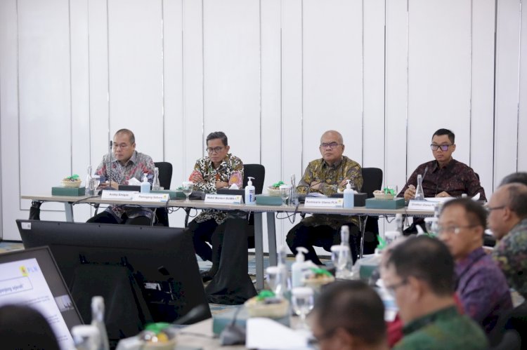 Wamen BUMN I Apresiasi PLN, Mampu Capai Kinerja Terbaik Sepanjang Sejarah