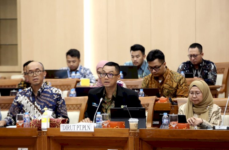 Komisi VII DPR RI Dukung PLN Kembangkan Smart Meter AMI 