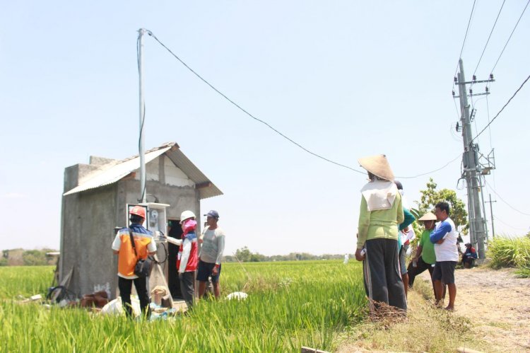 Darmawan Prasodjo: NTT Salah Satu Provinsi Sektor Pertaniannya Mulai Masif Beralih ke Listrik