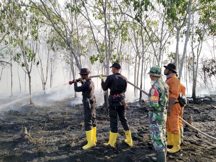 Personel Satbrimob Polda Sumsel Padamkan Api di Lahan Masyarakat