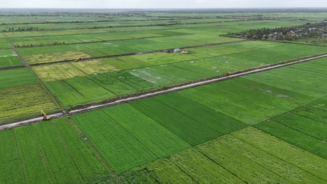 Fakta di Lapangan Masyarakat Dukung Program Cetak Sawah Yang Sedang Dikerjakan Pemerintah