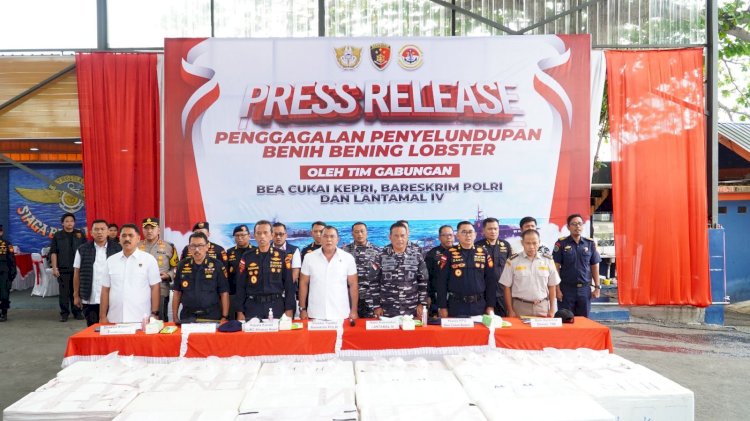 Penyelundupan Benih Bening Lobster 237.305 Benih Bening Lobster Senilai Rp.23,6 Miliar Rupiah
