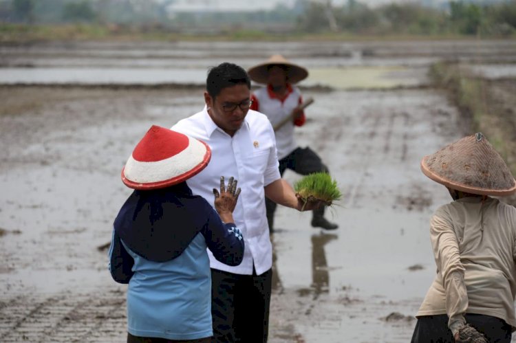 Wamentan Sudaryono: Cetak Sawah Bagian Strategi Nasional Mengurangi Ketergantungan Impor Bahan Pangan