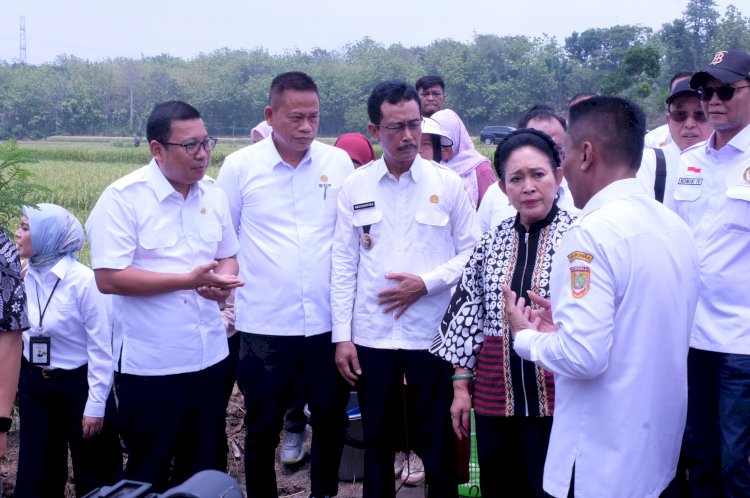 Program Pompanisasi Solusi Cepat Dalam Memenuhi Kebutuhan Air persawahan yang Sempat Kering Akibat Gelombang Panas