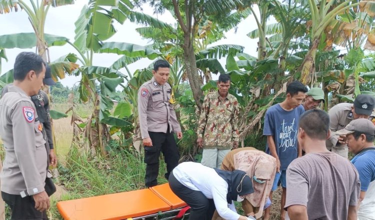 Sesosok Mayat Pria Ditemukan di Area Persawahan