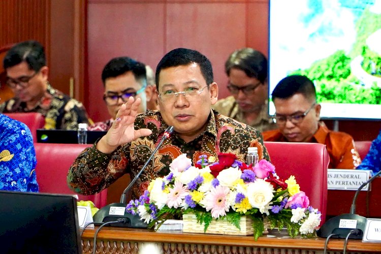 Presiden Dorong Seluruh Kementerian dan Badan di Bidang Pangan Fokus Memenuhi Produksi dan Cadangan Dalam Negeri