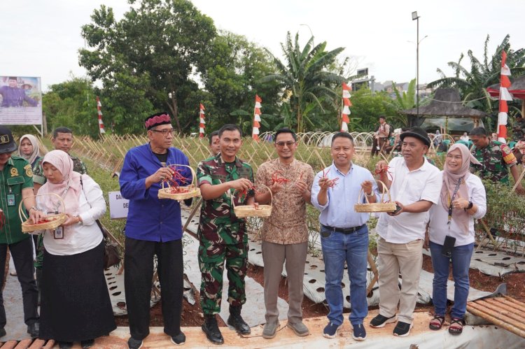Dandim 0508/Depok: Panen Cabai Perdana Ini Bagian dari Program Pemerintah Mendukung Ketahanan dan Swasembada Pangan