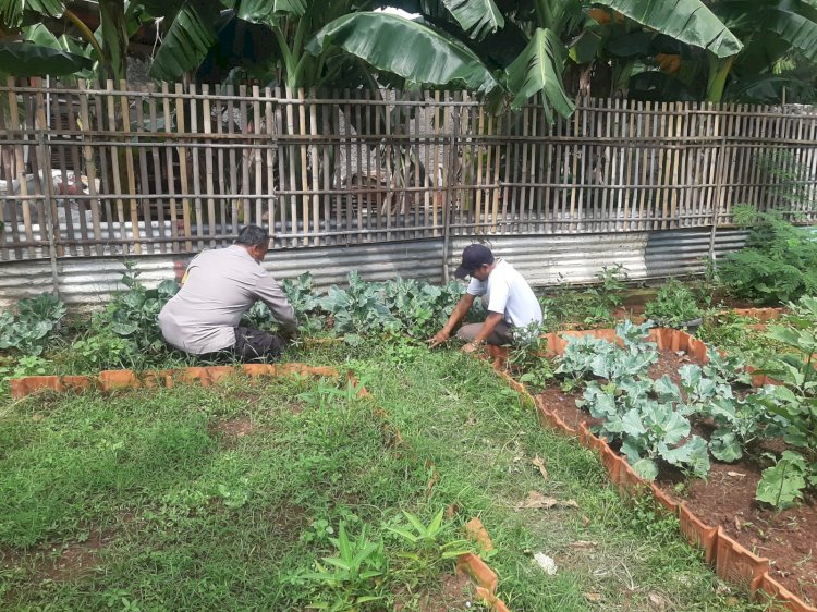 Bhabinkamtibmas Serahkan Bibit Tanaman ke Poktan
