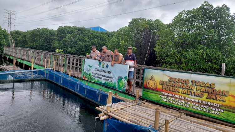 Ketahanan Pangan, Bhabinkamtibmas Lakukan Pendampingan Kepada Petani Ikan