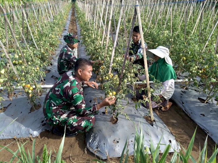 Keberadaan Food Estate di Lahan Aset TNI AU di Cianjur Mendapat Respons Positif Masyarakat