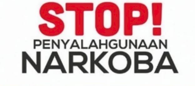 Upaya Konkret Pemerintah Memberantas Narkoba