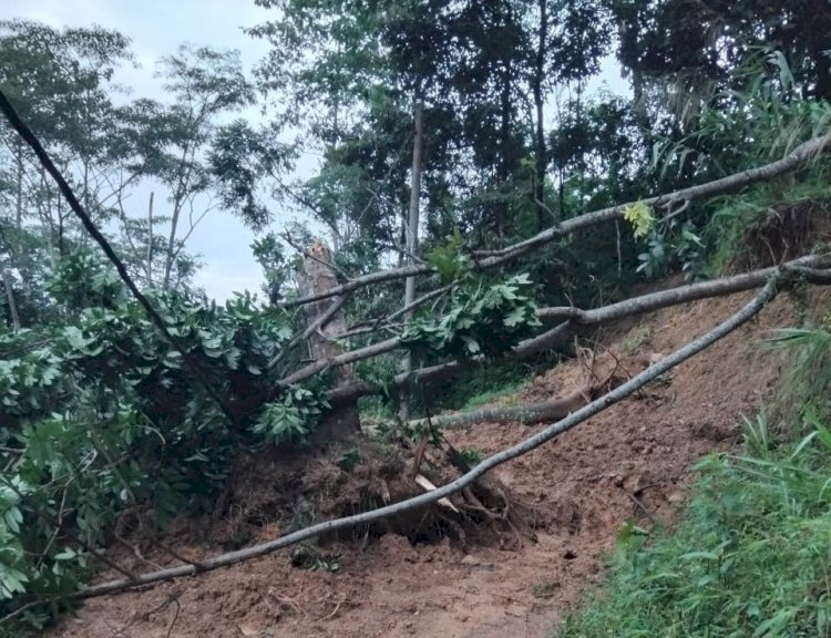 Akses Karanggondang Menuju ke Bodas dan Klesem Wilayah Kandangserang tertutup Longsor