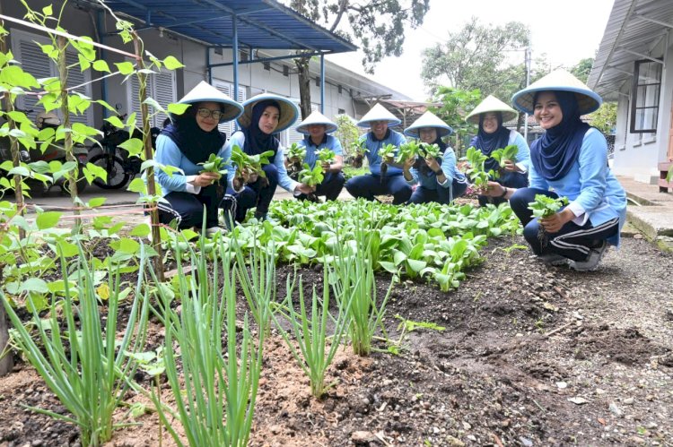 Dukung Program Ketahanan Pangan, Lanud Husein Sastranegara Manfaatkan Lahan Kosong Tanam Sayuran