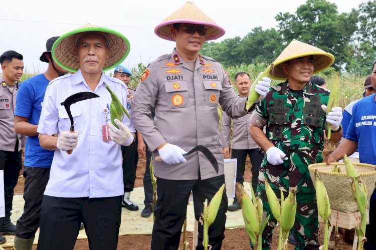 Polda Metro Jaya Gelar Panen Raya Jagung Dukung Ketahanan Pangan