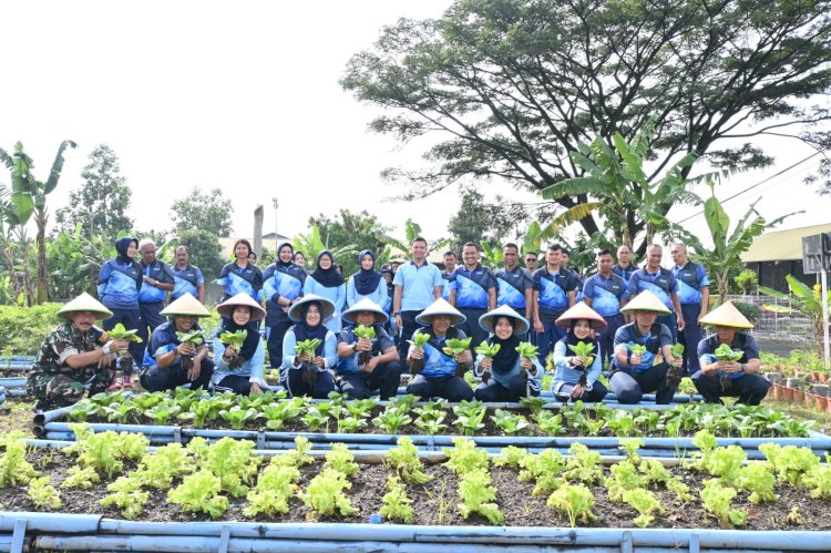 Danlanud Husein Sastranegara: Penanaman Alpukat dan Panen Berbagai Jenis Sayuran, Meningkatkan Ketersediaan Pangan Sehat dan Berkualitas
