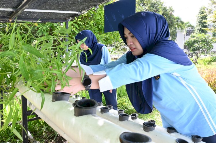PIA Ardhya Garini Cabang 4/D.I Lanud Husein Sastranegara Panen Kangkung Hasil Budidaya Hidroponik