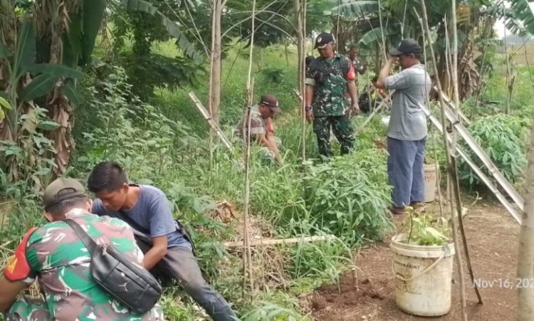 Dukung Program Ketahanan Pangan di Bidang Pertanian Koramil 07/Limo Tanam Ratusan Bibit Pohon
