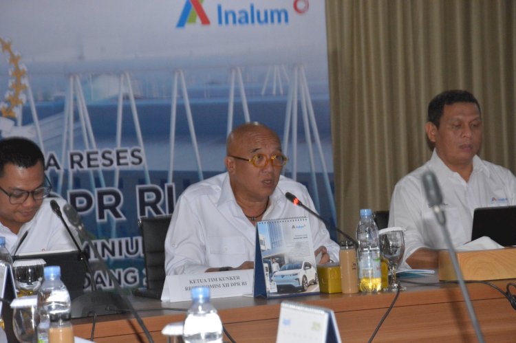 Wakil Ketua Komisi XII DPR RI Apresiasi Kinerja Korporasi PT Inalum Mengesankan di 2024