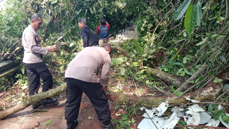 Polri bersama Warga Evakuasi Pohon Tumbang di Lebakbarang