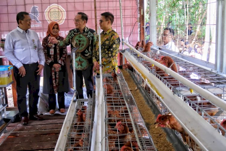 Kandang ‘Merah Putih’ Charoen Pokphand Indonesia Bantu Masyarakat Disabilitas